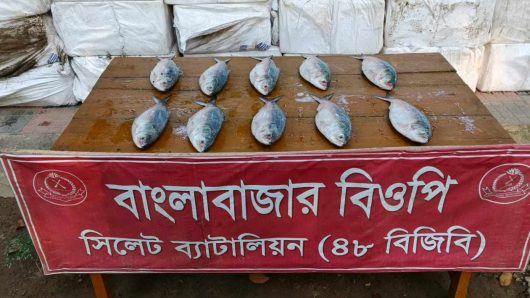 ভারতে পাচারের চেষ্টা, সুনামগঞ্জ সীমান্তে ২২ লাখ টাকার ইলিশ জব্দ