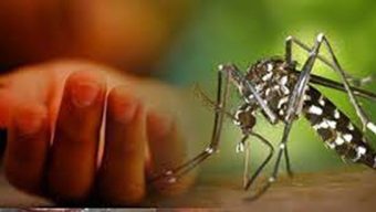 ডেঙ্গুতে একদিনে ৬ জনের মৃত্যু