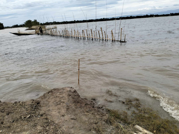 সুনামগঞ্জে ফসলরক্ষা বাঁধ কেটে মাছ শিকার