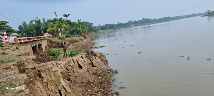 কুশিয়ারার ভাঙনে হুমকীর মুখে বন্যানিয়ন্ত্রণ বাঁধ