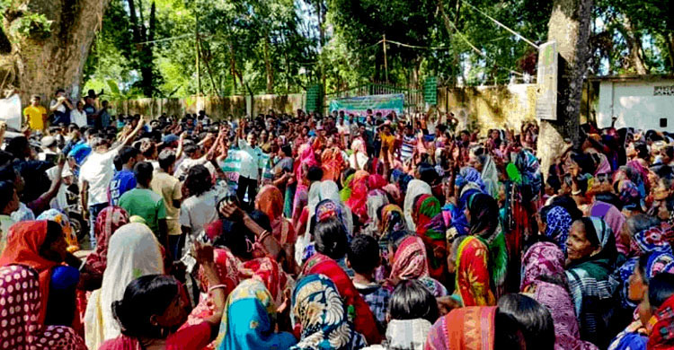 অনির্দিষ্টকালের কর্মবিরতিতে ন্যাশনাল টি কোম্পানি শ্রমিকরা