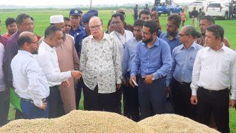 ‘ধান-চাল ক্রয়ে সিন্ডিকেট নিয়ন্ত্রণে বাজার মনিটরিং করা হবে’